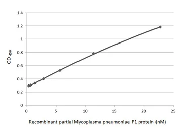 Anti-Mycoplasma pneumoniae P1 protein antibody [HL3205] used in ELISA (ELISA). GTX640845