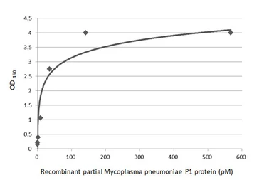 Anti-Mycoplasma pneumoniae P1 protein antibody [HL3205] used in ELISA (ELISA). GTX640845