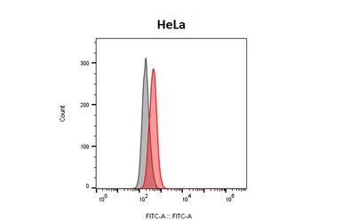Anti-HRH1 antibody [HL3357] used in Flow cytometry (FCM). GTX641134