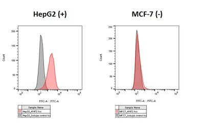 Anti-Her2 / ErbB2 antibody [HL3566] used in Flow cytometry (FCM). GTX641472