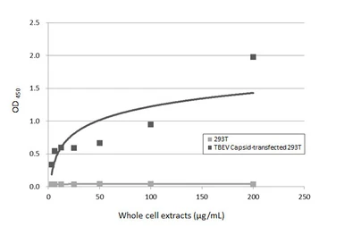 Anti-Tick-borne encephalitis virus (TBEV) Capsid antibody [HL4289] used in ELISA (ELISA). GTX643529