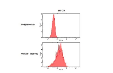 Anti-GPR148 antibody [HL4630] used in Flow cytometry (FCM). GTX644494