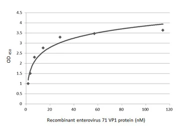 Anti-Enterovirus 71 VP1 antibody [HL4796] used in ELISA (ELISA). GTX644808