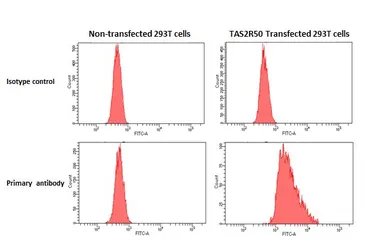Anti-TAS2R50 antibody [HL4906] used in Flow cytometry (FCM). GTX644971