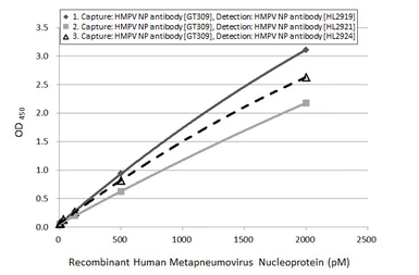 Anti-Human metapneumovirus Nucleoprotein antibody [GT309] used in ELISA (ELISA). GTX645035
