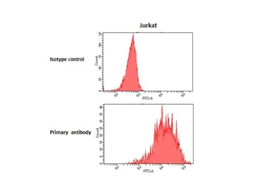 Anti-CD5 antibody [HL5246] used in Flow cytometry (FCM). GTX645502