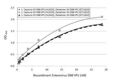 Anti-Enterovirus D68 VP1 antibody [HL5333] used in ELISA (ELISA). GTX645811