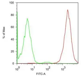 Anti-SSEA-5 antibody [8e11] used in Flow cytometry (FCM). GTX70019