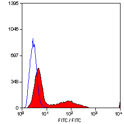 Anti-CD34 antibody [MEC14.7] (PE) used in Flow cytometry (FCM). GTX75414