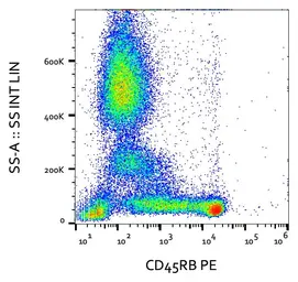 Anti-CD45RB antibody [MEM-55] (PE) used in Flow cytometry (FCM). GTX78300