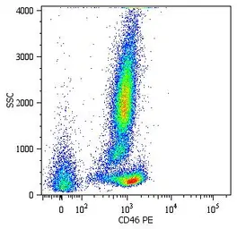 Anti-CD46 antibody [MEM-258] (PE) used in Flow cytometry (FCM). GTX78353
