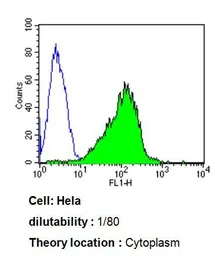 Anti-CYP3A7 antibody [F19 P2 H2] used in Flow cytometry (FCM). GTX79463