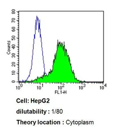 Anti-CYP3A7 antibody [F19 P2 H2] used in Flow cytometry (FCM). GTX79463