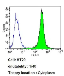 Anti-CYP3A7 antibody [F19 P2 H2] used in Flow cytometry (FCM). GTX79463