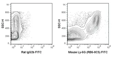 Anti-Ly6g antibody [RB6-8C5] (FITC) used in Flow cytometry (FCM). GTX79898