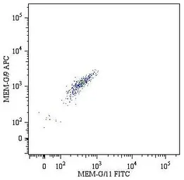 Anti-HLA-G antibody [MEM-G/9] (APC) used in Flow cytometry (FCM). GTX79919