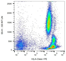 Anti-HLA Class I antibody [MEM-147] (PE) used in Flow cytometry (FCM). GTX80010