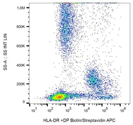 Anti-HLA-DR + HLA-DP antibody [MEM-136] (Biotin) used in Flow cytometry (FCM). GTX80012