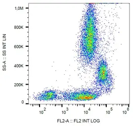 Anti-CD31 antibody [MEM-05] (PE) used in Flow cytometry (FCM). GTX80032