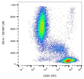 Anti-CD81 antibody [M38] (APC) used in Flow cytometry (FCM). GTX80041-07