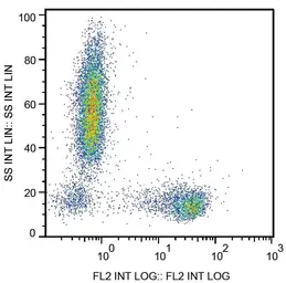 Anti-CD27 antibody [LT27] (PE) used in Flow cytometry (FCM). GTX80056