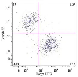 Mouse Anti-Human kappa light chain antibody [A8B5] (FITC). GTX80244