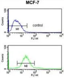 Anti-CDIPT antibody, Internal used in Flow cytometry (FCM). GTX80599