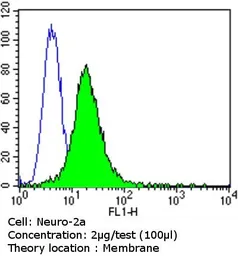 Anti-PSD95 antibody [7E3-1B8] used in Flow cytometry (FCM). GTX80682