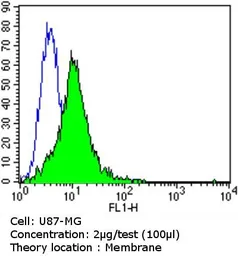 Anti-PSD95 antibody [7E3-1B8] used in Flow cytometry (FCM). GTX80682