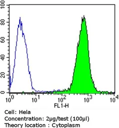 Anti-Dynein antibody [74.1] used in Flow cytometry (FCM). GTX80684