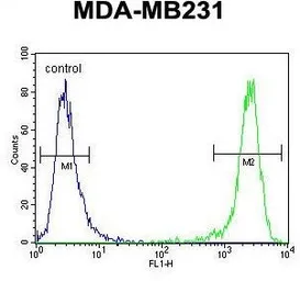 Anti-EMX1 antibody, C-term used in Flow cytometry (FCM). GTX80913