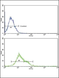 Anti-ALOX12 antibody, C-term used in Flow cytometry (FCM). GTX80966