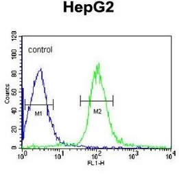 Anti-MGST2 antibody, C-term used in Flow cytometry (FCM). GTX80967