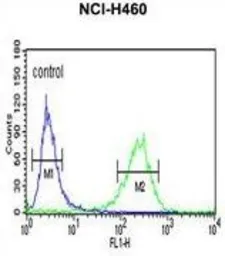 Anti-PISD antibody, Internal used in Flow cytometry (FCM). GTX80997