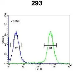 Anti-CSGALNACT2 antibody, Internal used in Flow cytometry (FCM). GTX81034