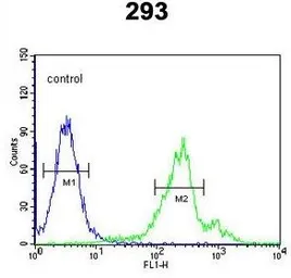 Anti-CDC42EP3 antibody, N-term used in Flow cytometry (FCM). GTX81035