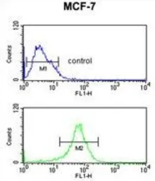 Anti-DIO2 antibody, Internal used in Flow cytometry (FCM). GTX81072