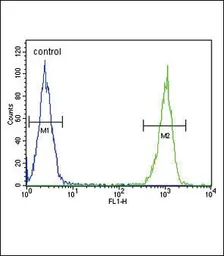Anti-Lactoferrin antibody used in Flow cytometry (FCM). GTX81085