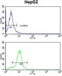 Anti-CYP2E1 antibody, C-term used in Flow cytometry (FCM). GTX81120