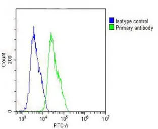 Anti-IL1 beta antibody, Internal used in Flow cytometry (FCM). GTX81192