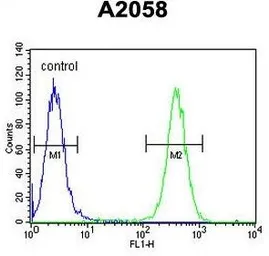 Anti-FKBP10 antibody, C-term used in Flow cytometry (FCM). GTX81486