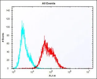 Anti-LAG3 antibody, Internal used in Flow cytometry (FCM). GTX81605