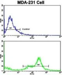 Anti-C6 antibody, N-term used in Flow cytometry (FCM). GTX81643