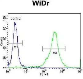 Anti-FAM3B antibody, N-term used in Flow cytometry (FCM). GTX81667
