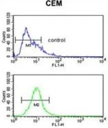 Anti-FUT1 antibody, Internal used in Flow cytometry (FCM). GTX81834