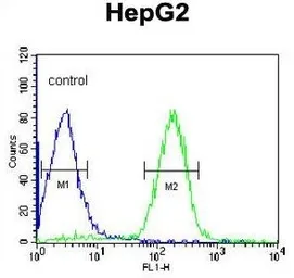 Anti-alpha 1 Acid Glycoprotein antibody, C-term used in Flow cytometry (FCM). GTX81862