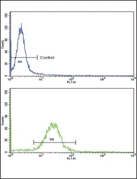 Anti-EPN3 antibody, N-term used in Flow cytometry (FCM). GTX81869