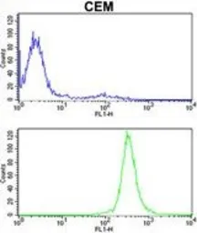 Anti-Mitofilin antibody, Internal used in Flow cytometry (FCM). GTX81949
