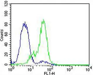Anti-EZH2 antibody used in Flow cytometry (FCM). GTX82503