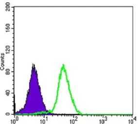 Anti-CD276 antibody [6A1] used in Flow cytometry (FCM). GTX82773